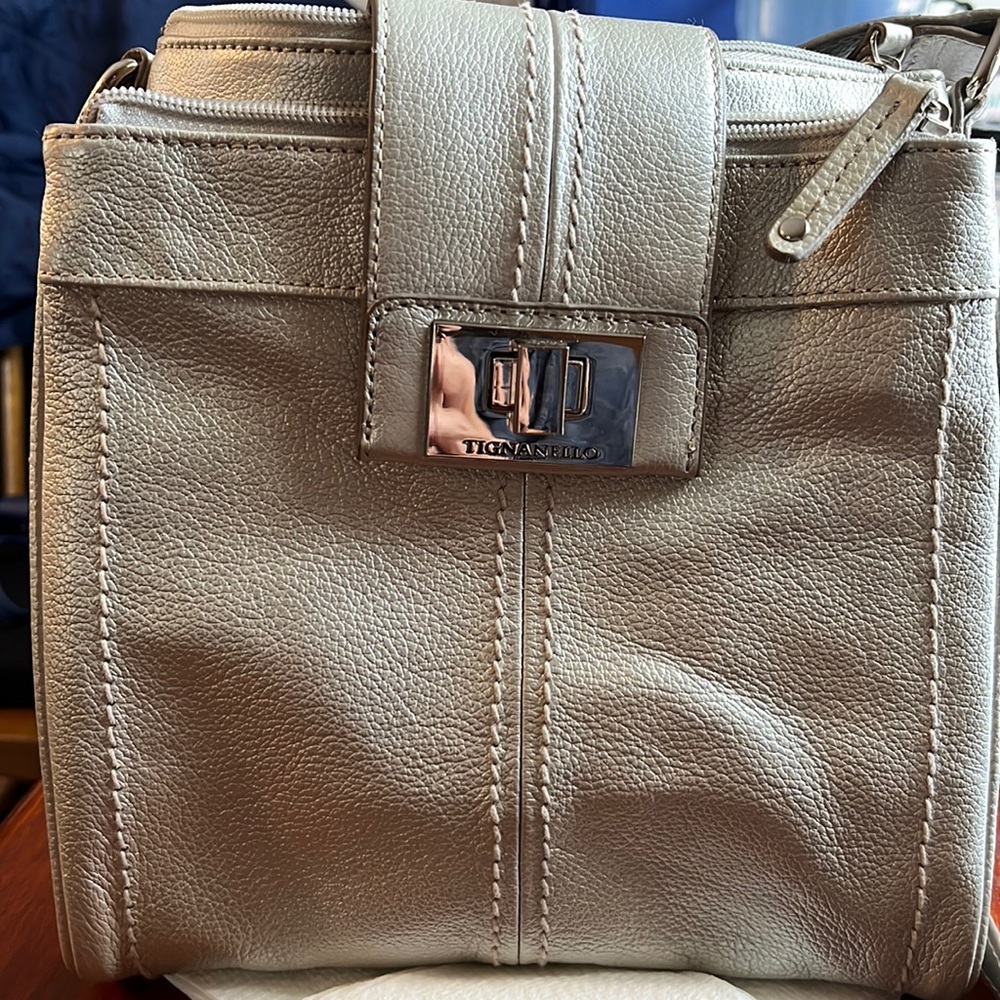 NWOT Tignatello Crossbody bag in Silver
